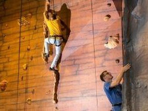 The Bear Grylls Adventure - Climb (60 mins)