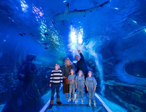 Sea Life Birmingham - Standard Admission