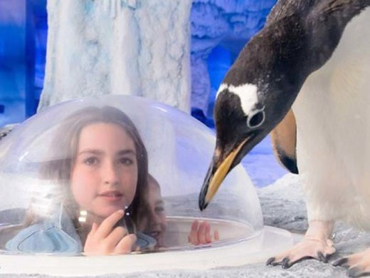 Sea Life London - Multibuy Options