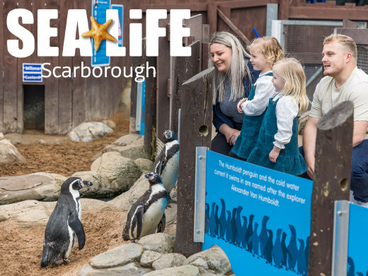 Sea Life Scarborough