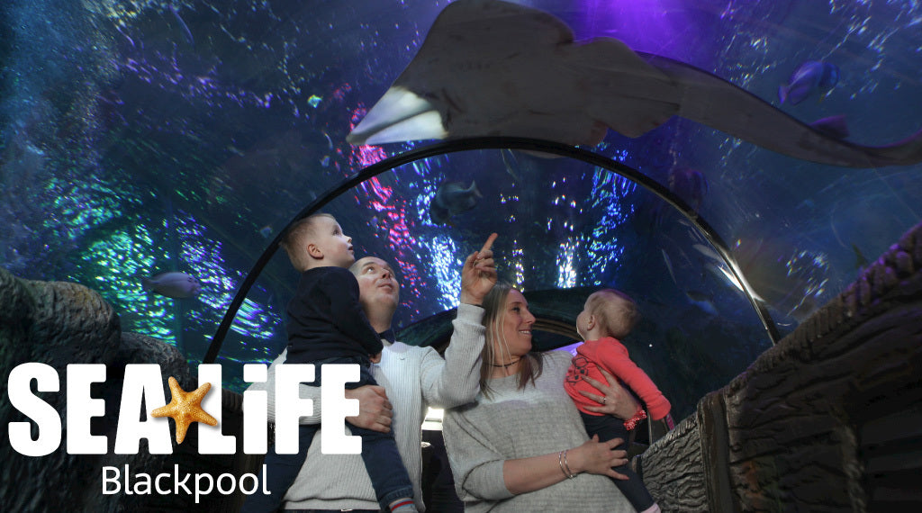 Sealife Blackpool Standard Entry